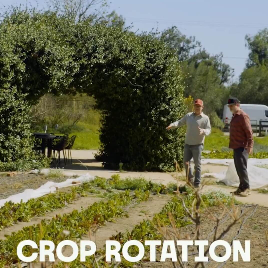 Crop Rotation