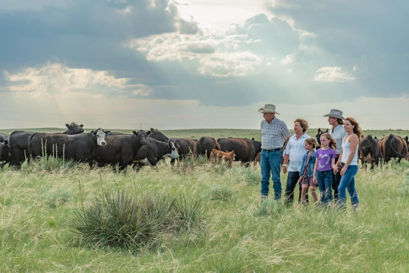 Profit Meets Purpose: A Rancher’s Guide to Sustainable Success